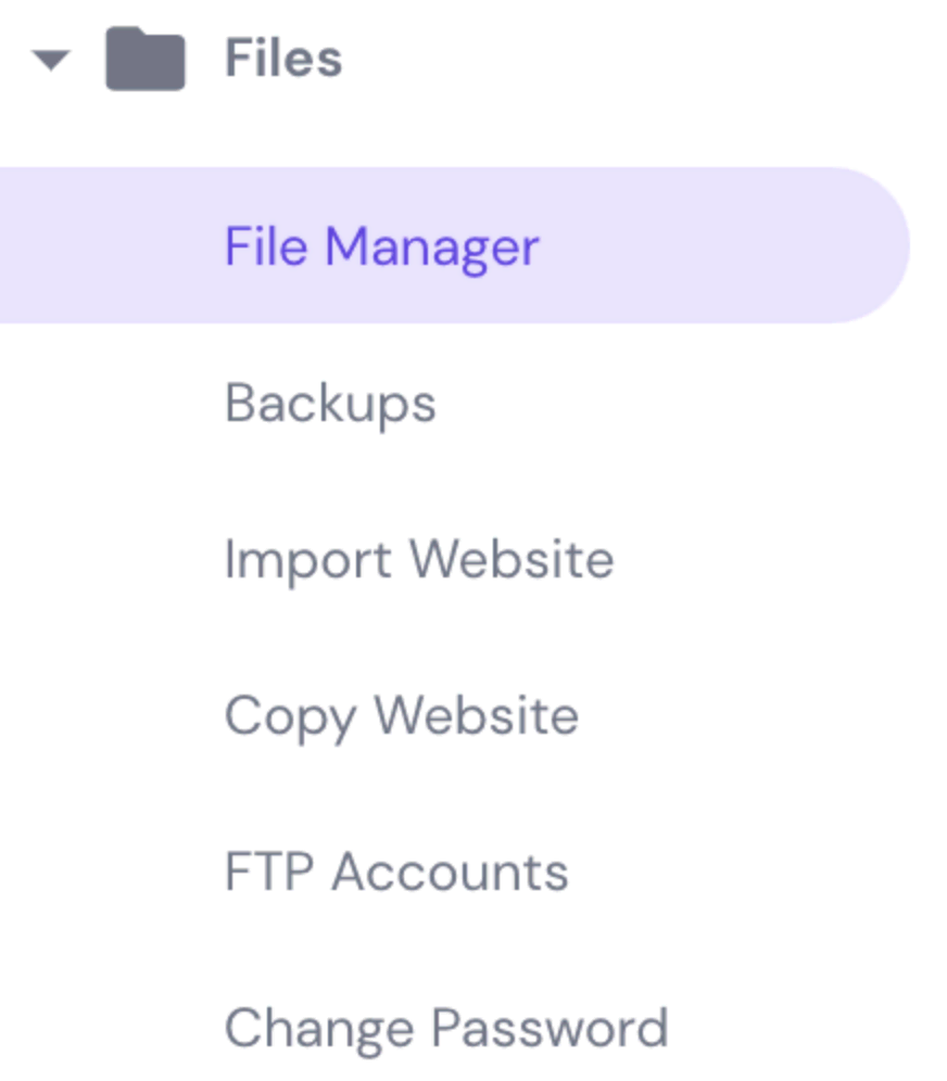 Die Schaltfläche Dateimanager auf hPanel